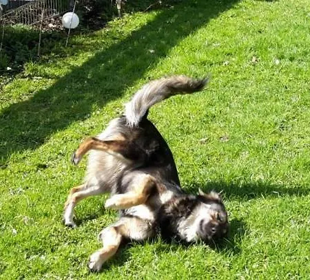 Lieblings-platz * ランゲスハイム