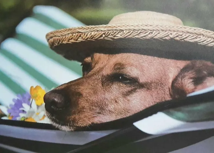 Lieblings-platz דירה *